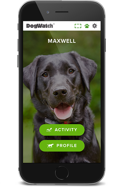 Dogwatch of Northwest Indiana, Valparaiso, Indiana | SmartFence WebApp Image