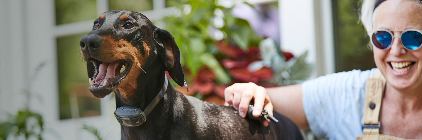 DogWatch of Northwest Indiana, Valparaiso, Indiana | Remote Dog Training Collars Slider Image