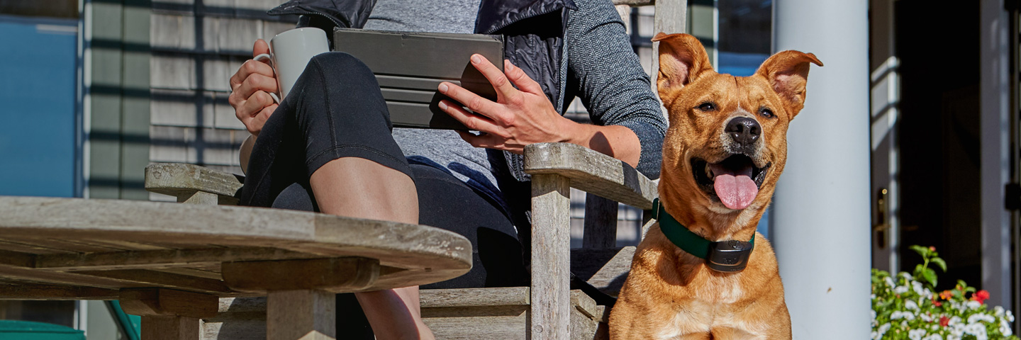 DogWatch of Northwest Indiana, Valparaiso, Indiana | ProFence Slider Image